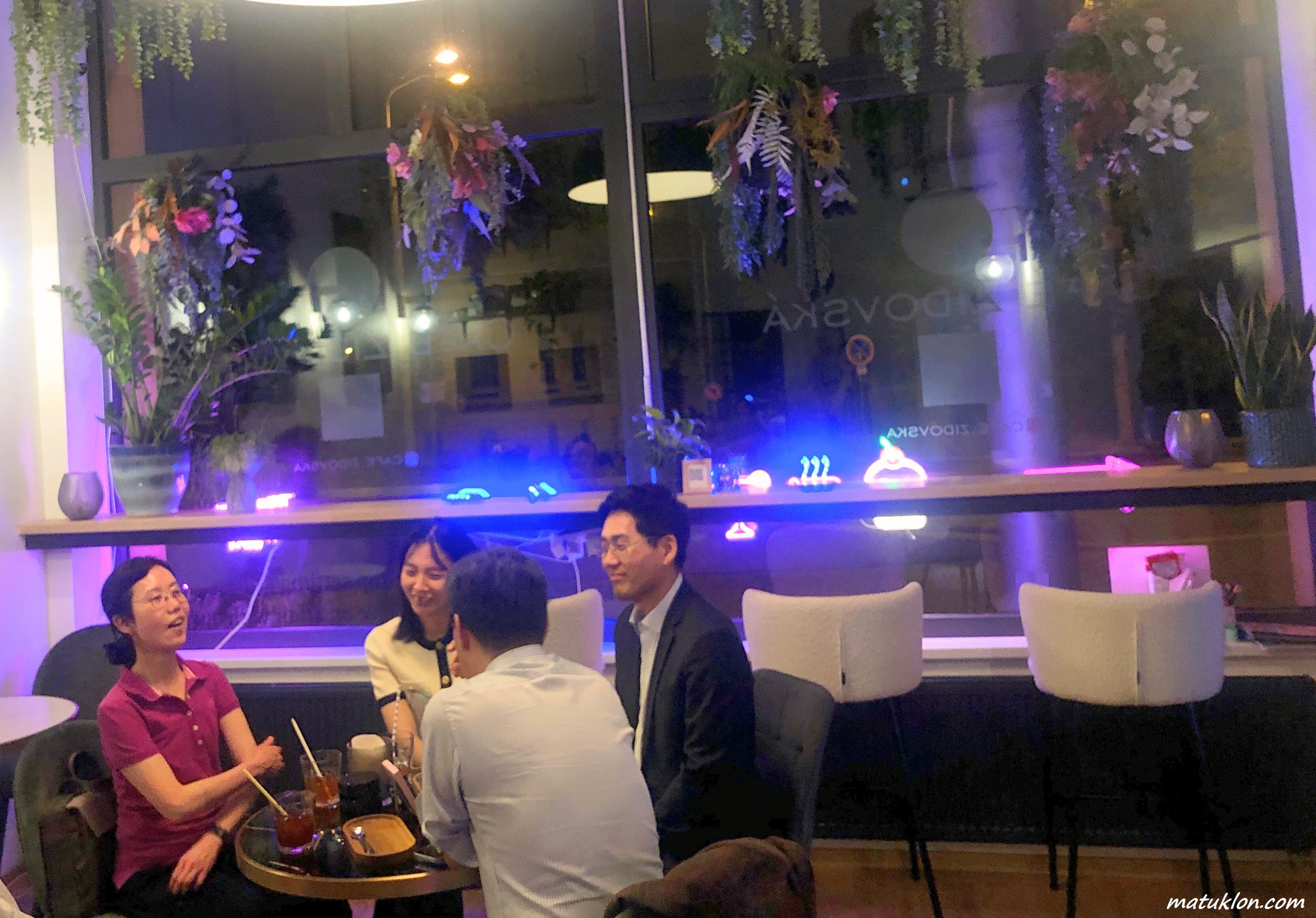 People talking at a table in a café, with many plants in the window